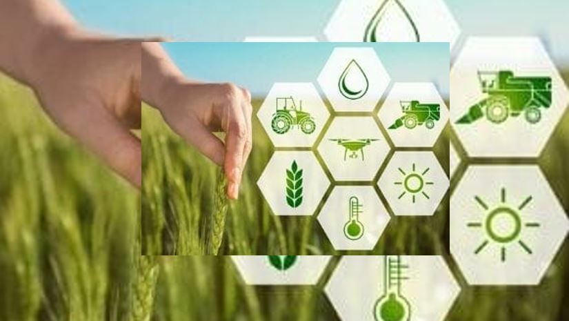 NEC e Sumitomo Corporation assinam acordo de parceria estratégica para expandir as vendas globais da plataforma de TIC agrícola CropScope