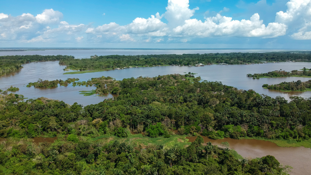 BNDES lança edital de contrato público de solução inovadora para análise de riscos socioambientais e climáticos